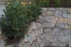 Steinmauern Bild 20